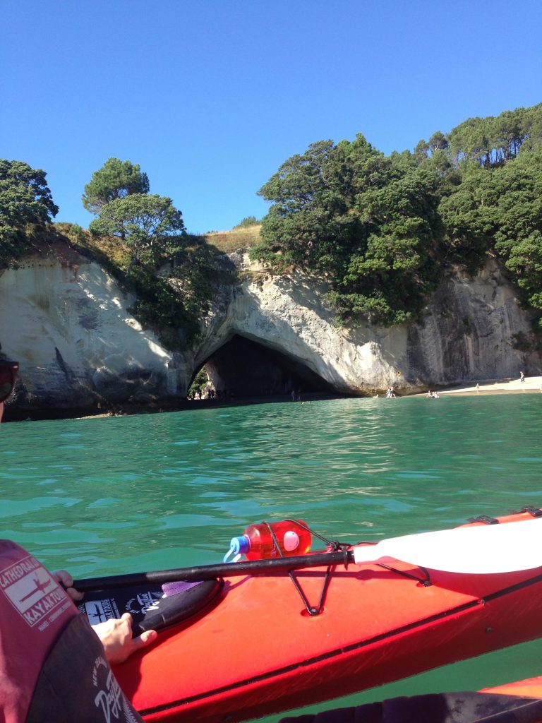 Cove from Kayak