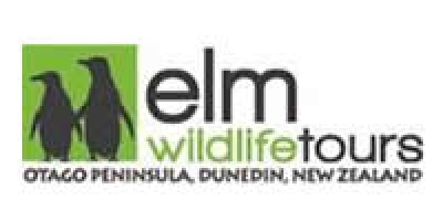 Elm Wildlife Tours