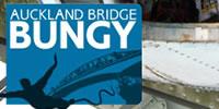 Auckland Bridge Bungy