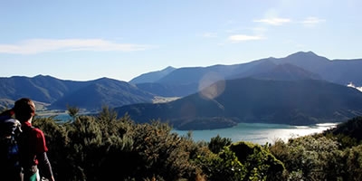 Queen Charlotte Track