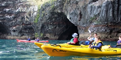 Pohautu Penguins Sea Kayaking