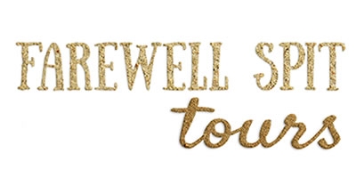 Farewell Spit Eco Tours