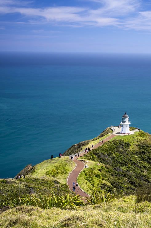 Image Credit:NorthlandNZ.com