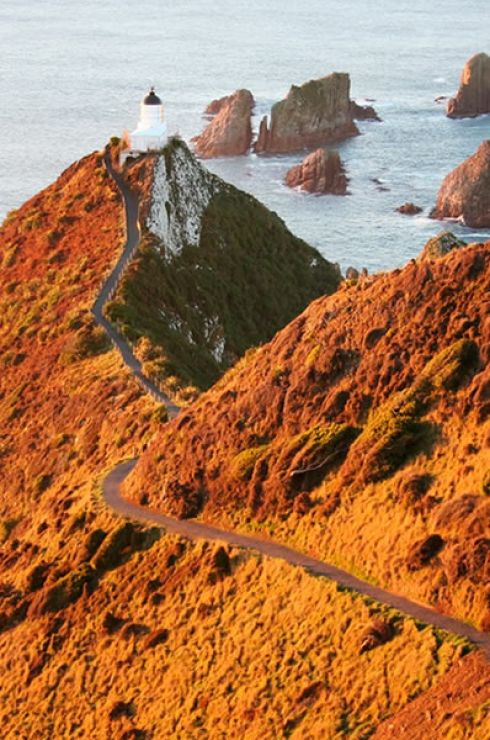 Nugget Point (Image Credit: Venture Southland)