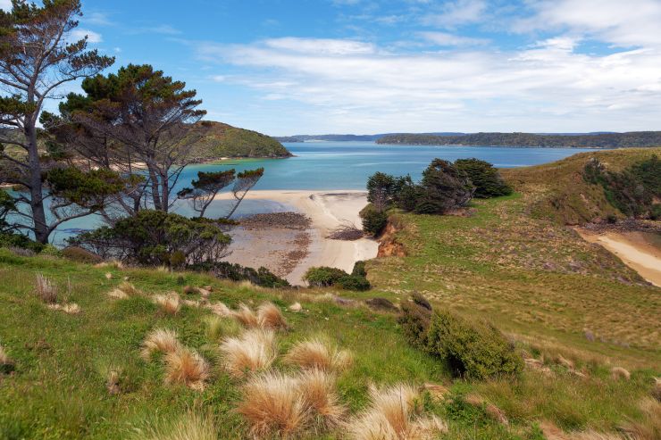 Stewart Island